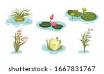 Water and Swamp Plants with Waterlily and Reed Vector Set