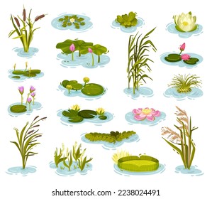 Water and Swamp Plants with Waterlily and Reed Big Vector Set