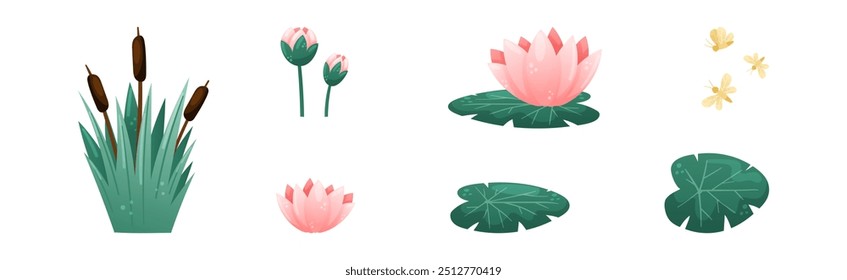 Plantas de água e pântano Waterlily e conjunto de vetores de Reed