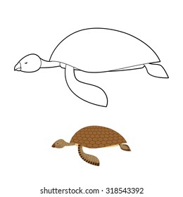 Water turtle coloring book. Marine animal with shell. Vector illustration
