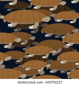 Water Turtle seamless pattern. Marine animal ornament. Reptile with shell background