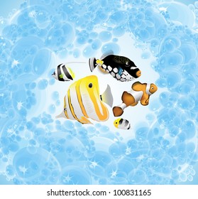 water (vector)