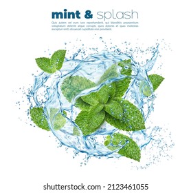 Water Wave Swirl Splash With Green Mint Leaves, Cool Mint Or Peppermint And Menthol Spearmint Drink Vector Background. Realistic Transparent Flow Of Lemonade Soda Or Cocktail With Mint In Splash