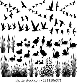 Waterbirds and ducks silhouettes set, flying birds and lake reeds grass vector collection.