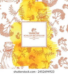 Watercol background with yarrow: leaves and yarrow flowers and bottle of yarrow essential oil. Achillea millefolium. Cosmetic, perfumery and medical plant. Vector hand drawn illustration