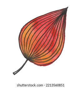Watercolor abstract leaf with black stripes ornament. Hand drawn vector illustration fantasy foliage isolated on white background.