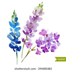 watercolor abstract lilac flowers, bouquet, isolated object