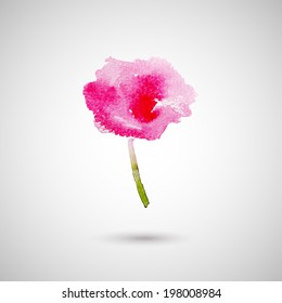 Watercolor abstract pink rose isolated on white background