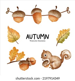 Watercolor acorn, autumn season vector illustration