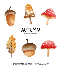 Watercolor acorn, autumn season vector illustration