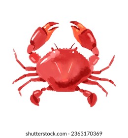 Watercolor acrylic gouache hand drawn crab. Seafood painted isolated vector illustration