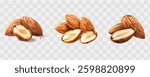 Watercolor almond set. A set of almond nuts on a transparent background. Healthy organic food, natural protein. Vector illustration.