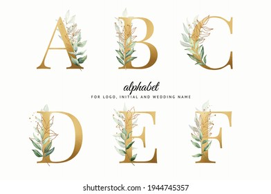 Watercolor Alphabet Set Of A, B, C, D With Beautiful Greenery. For Logo, Cards, Branding, Etc