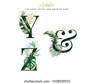 Watercolor alphabet set of Y, Z with tropical leaves. for logo, cards, branding, etc