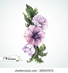 Watercolor anemones vector. Hand painting. Illustration for greeting cards, invitations, and other printing projects.