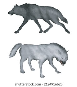 Watercolor Animal illustration, drawing style