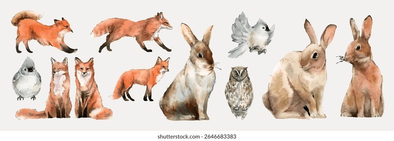 Watercolor animals: foxes, rabbits, owl, and birds. Foxes and rabbits in various poses. Birds and owl add charm. Nature-themed, artistic wildlife illustration. Isolated animal vector set.