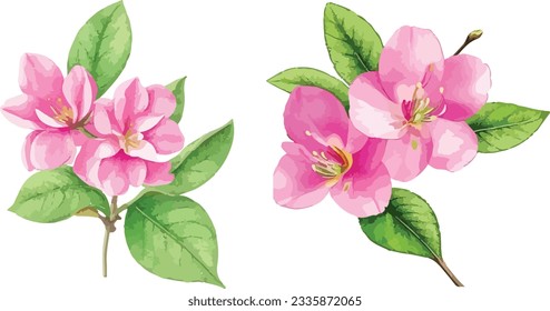 Watercolor apple flower. Pink flowers with green leaves. Hand painted artwork with petals. Artistic flowers.