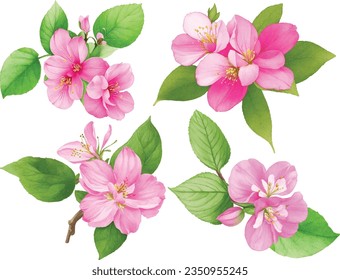 Watercolor apple flower. Pink flowers with green leaves. Hand painted artwork with petals. Artistic flowers.