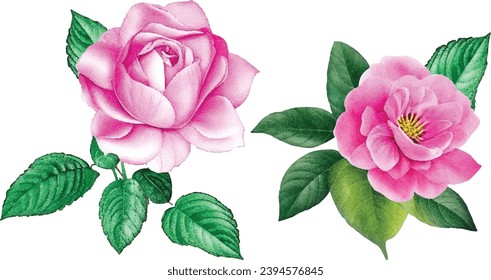 Watercolor apple flower. Pink flowers with green leaves. Hand painted artwork with petals. Artistic flowers.