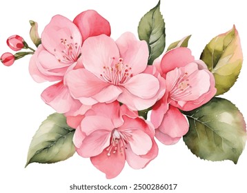 Flor de manzana de acuarela. Flores rosadas con hojas verdes. Obra de arte pintada a mano con pétalos. Flores artísticas.