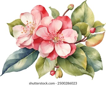 Watercolor apple flower. Pink flowers with green leaves. Hand painted artwork with petals. Artistic flowers.