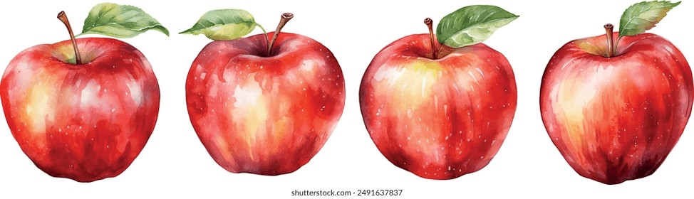 watercolor apple fruit collection set isolated on white background vector illustration