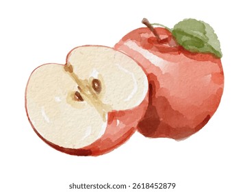 Fruta de maçã de aquarela pintada à mão