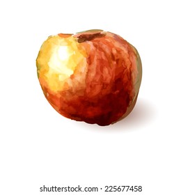 watercolor apple. Vector