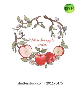 watercolor apple vector