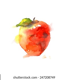 Watercolor Apple. Vector Illustration.