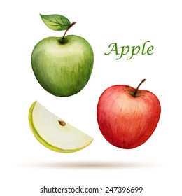 Watercolor Apple, vector illustration isolated on white background.