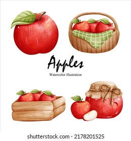 watercolor apples, fruit vector illustration