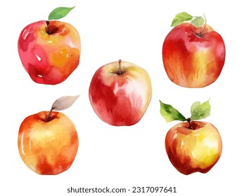 ilustración de vectores de manzanas de color de agua