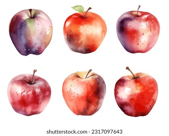 watercolor apples fruit vector illustration