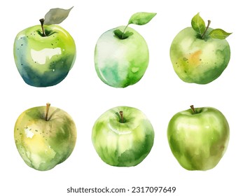 watercolor apples fruit vector illustration