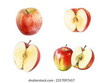 watercolor apples fruit vector illustration