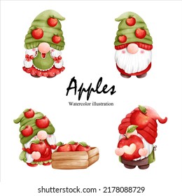 watercolor apples gnome, gnome fruit vector illustration