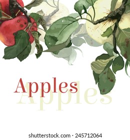 Watercolor apples with leaves. Background. Hand drawn