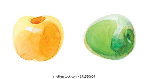 watercolor apples vector edition