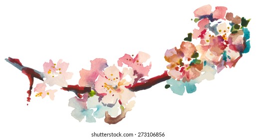 Watercolor apricot branch.