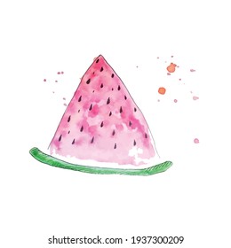 Watercolor aquarelle melon, vector design. Colorful fresh fruit