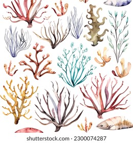 Watercolor aquatic sea corals illustration for a wedding invitation illustration