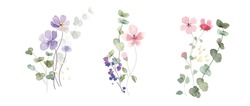 Arrangements Aquarelle Avec Petite Fleur. Illustration Botanique Style Minimal.