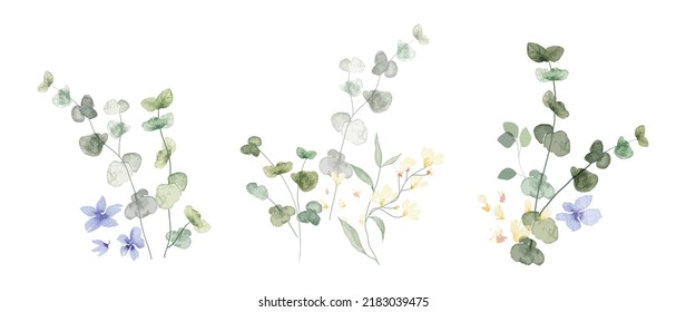 watercolor arrangements with small flower. Botanical illustration minimal style.