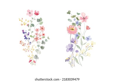 watercolor arrangements with small flower. Botanical illustration minimal style.