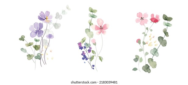 watercolor arrangements with small flower. Botanical illustration minimal style. - Shutterstock ID 2183039481