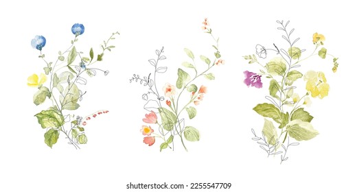 watercolor arrangements with small flower. Botanical illustration minimal style.