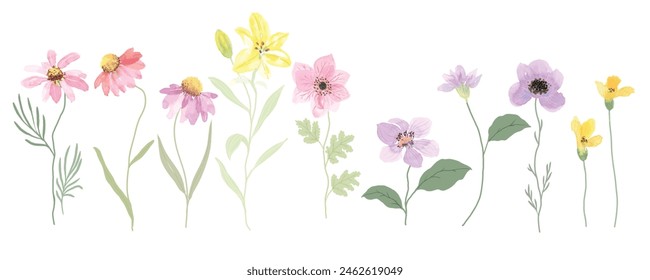 watercolor arrangements with small flower. Botanical illustration minimal style.