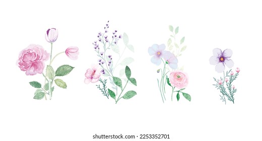 watercolor arrangements with small spring and summer flower. Botanical illustration minimal style.